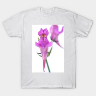 Linaria triornithophora  Three birds toadflax T-Shirt